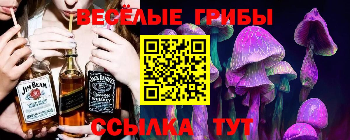 Ангарск  Галлюциногенные грибы Cubensis  Вход с VPN 